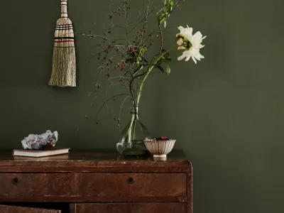 most important ecolabels for wall paint