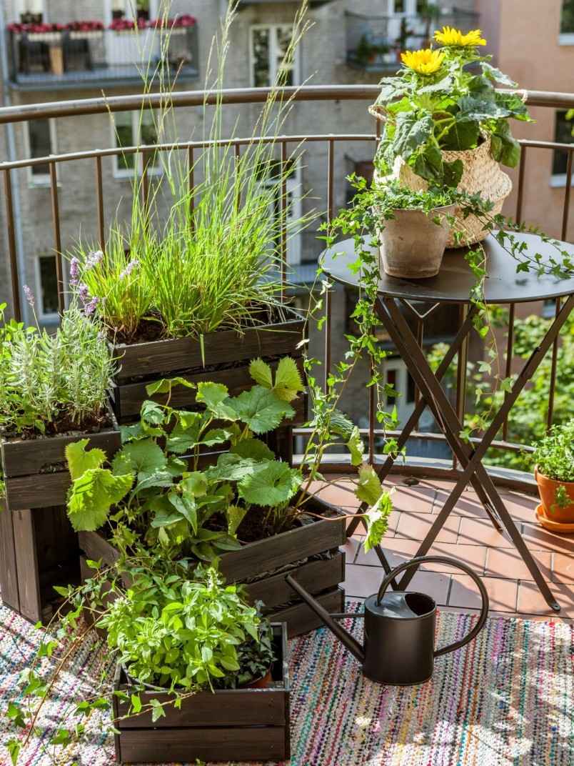 Patio Verso