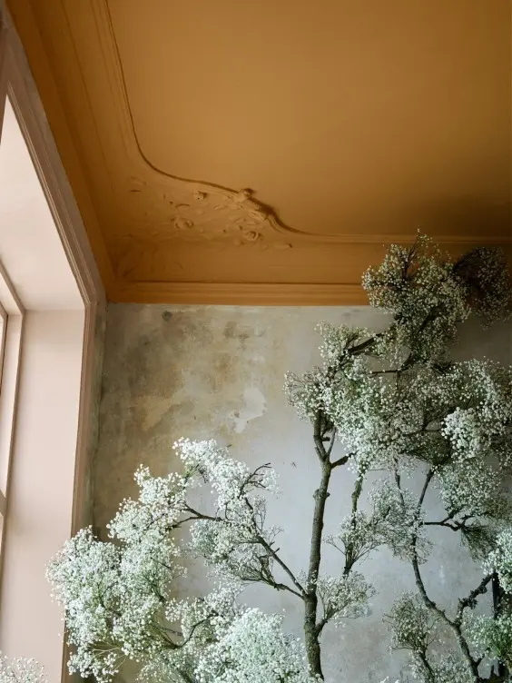 Värvitrendid 2024