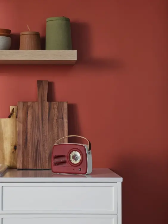 Red painted kitchen wall