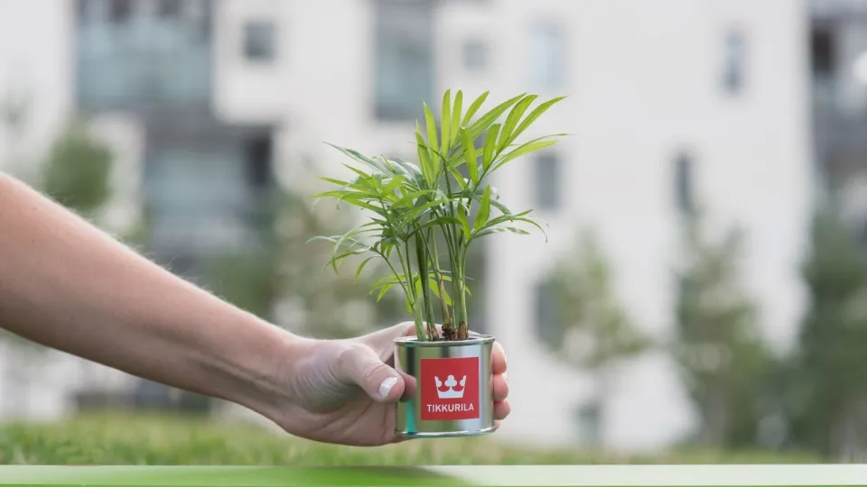 Ökoehitus – kuidas valida värvitooteid keskkonnasõbralikuks ehituseks