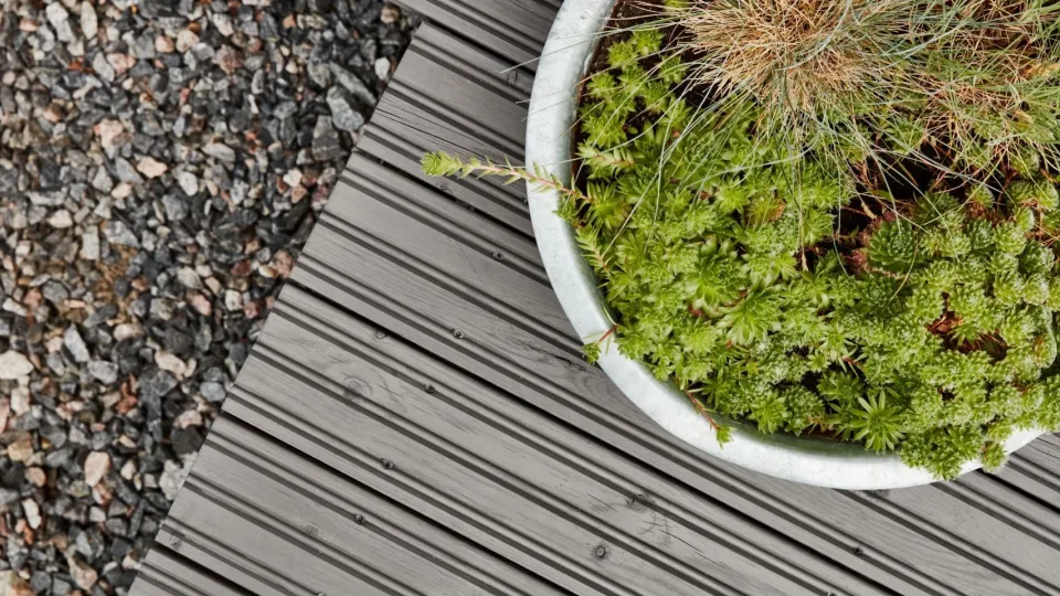 Kõige olulisemad ökomärgised