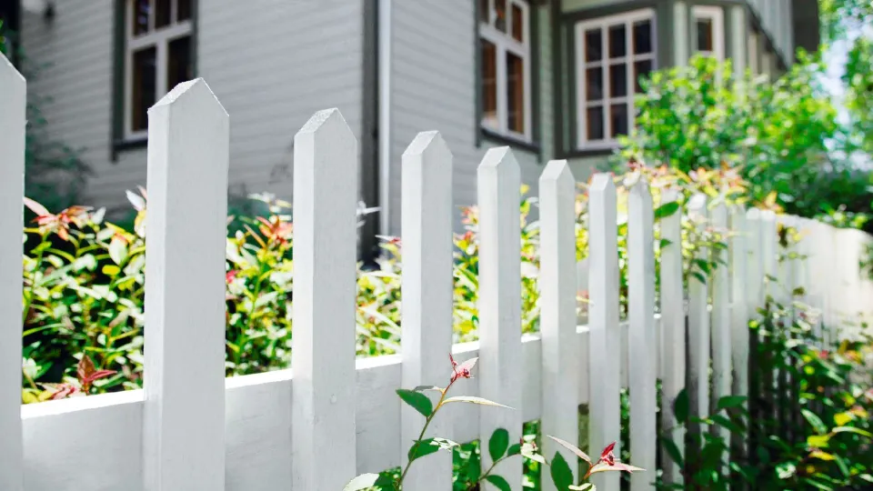 Aedade värvimise tööjuhendid