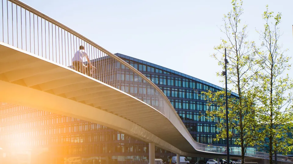 M1-märgisega tooted