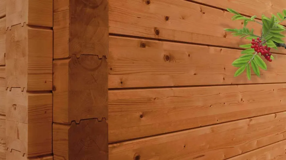 Massiiv- ja liimpuidust palgid