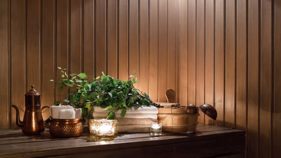 Sauna ideed