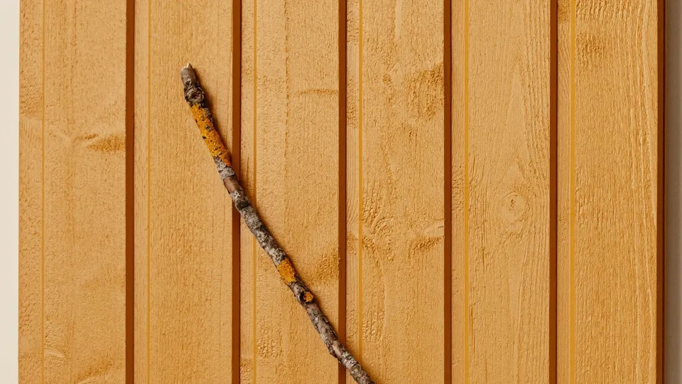 Populaarne kollane toon puitfassaadile D105 Sinappi