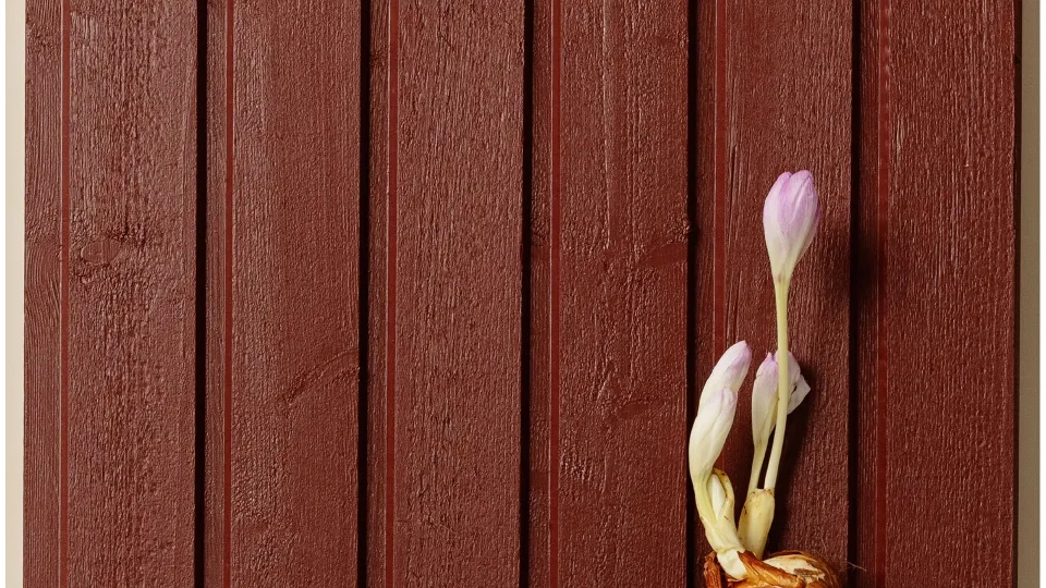 Populaarne punane toon puitfassaadile D110 Menninkäinen