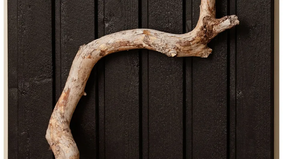 Populaarne must toon puitfassaadile D129 Korppi