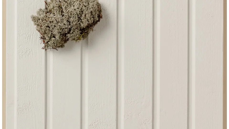 Populaarne valge toon puitfassaadile Q854 Pyry