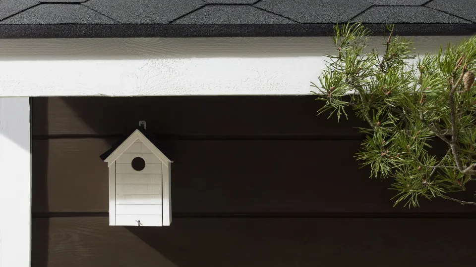 Räästa- ja nurgalaudade ning muude puitdetailide värvimine