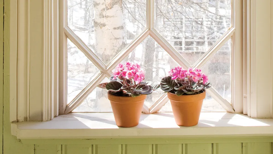 Vana aja värvide värvikaart