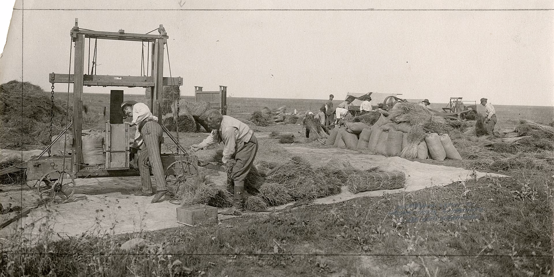 Linaseemnete pressimine 1930ndatel