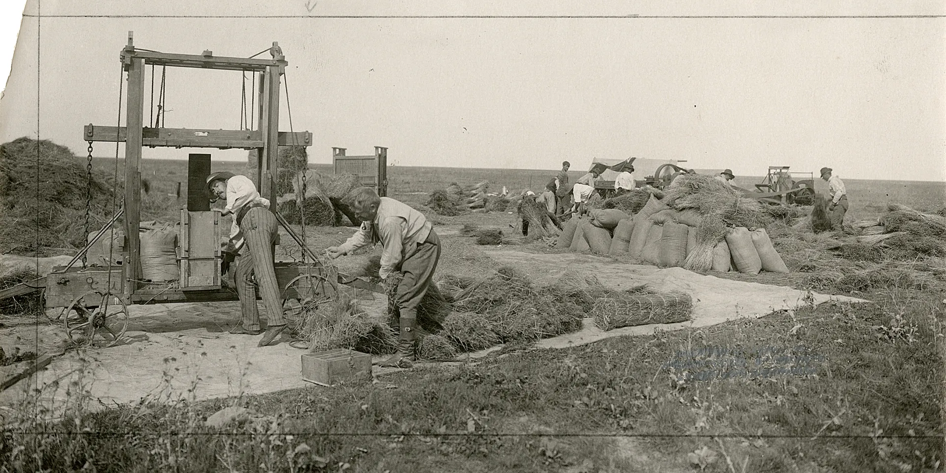 Linaseemnete pressimine 1930ndatel