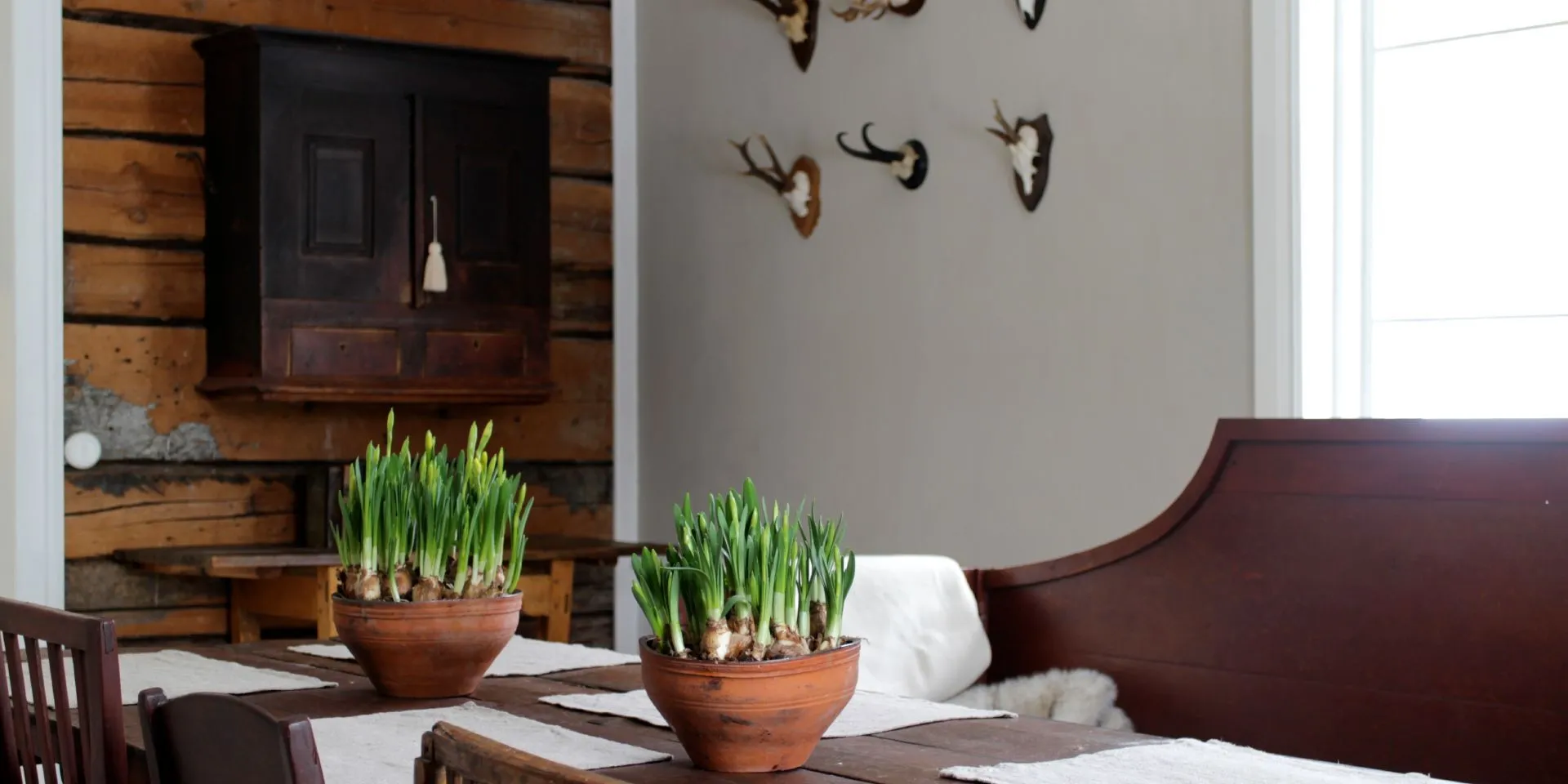 Värvitud sein söögitoas