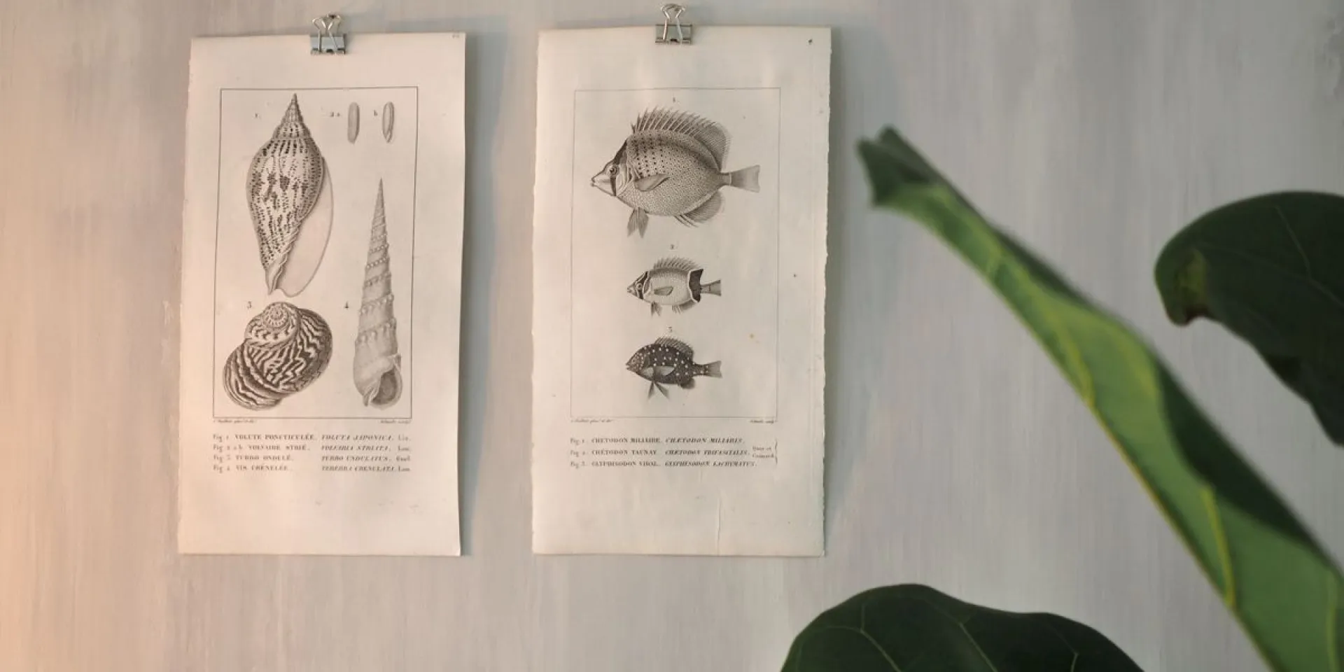 Hele akvarellsein Tunto Hienoga