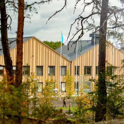 Puidust koolimaja