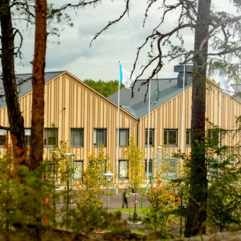 Puidust koolimaja