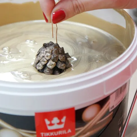 Värvi käbid luksuslikuks