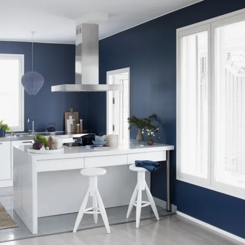 Uue siseseina värvimine (pahteldatud, betoon- ja krohvipinnad)