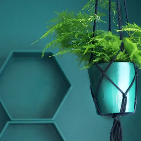 Fjordi-roheline töötuba