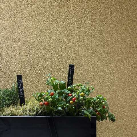 Varem värvitud kivimaja välisseinte värvimine Kivisil fassaadivärviga