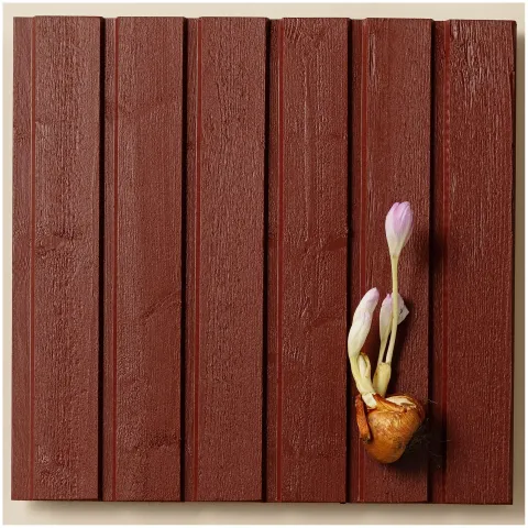 Populaarne punane toon puitfassaadile