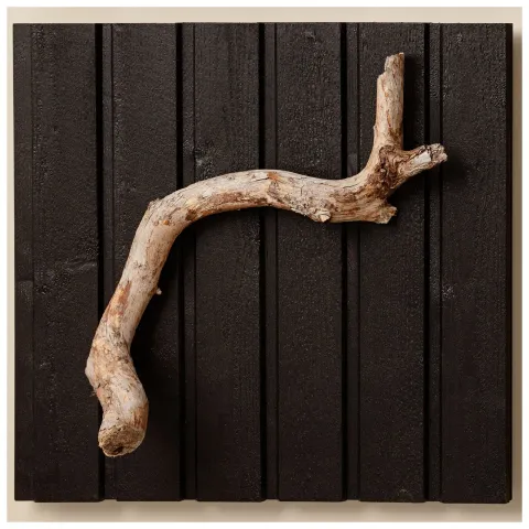 Populaarne must toon puitfassaadile