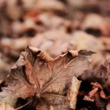 Tööstuslikud pinnakattelahendused robotitele