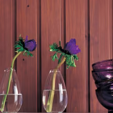 Interior wood stains and lacquers colour card