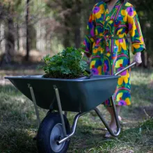 aiatööriistade värvimine