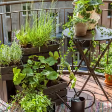 Patio Verso