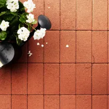 Tänavakivide värvimine