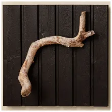 Populaarne must toon puitfassaadile