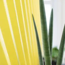 Kõik tooted