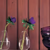 Interior wood stains and lacquers colour card