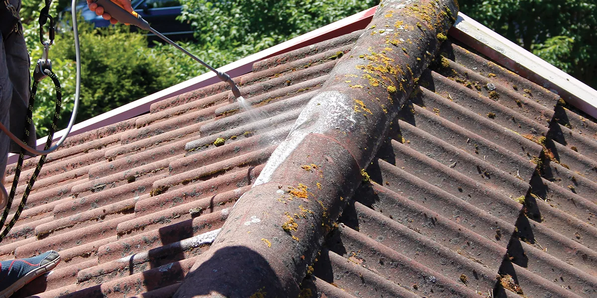 Katuse puhastamine samblast ja taimedest