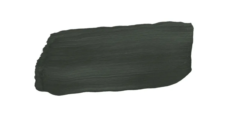 N378 Ficus